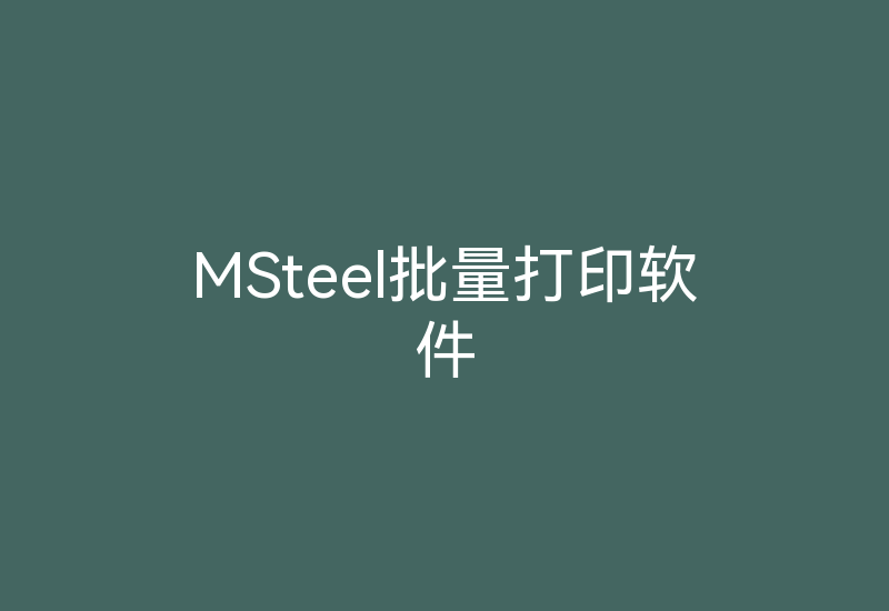 MSteel批量打印软件-Z天空