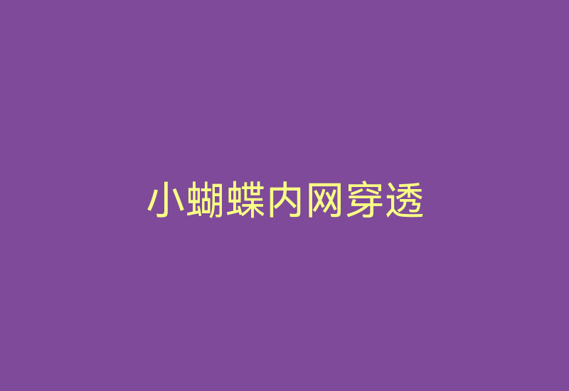 小蝴蝶内网穿透-Z天空