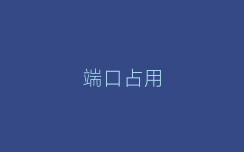 端口占用-Z天空